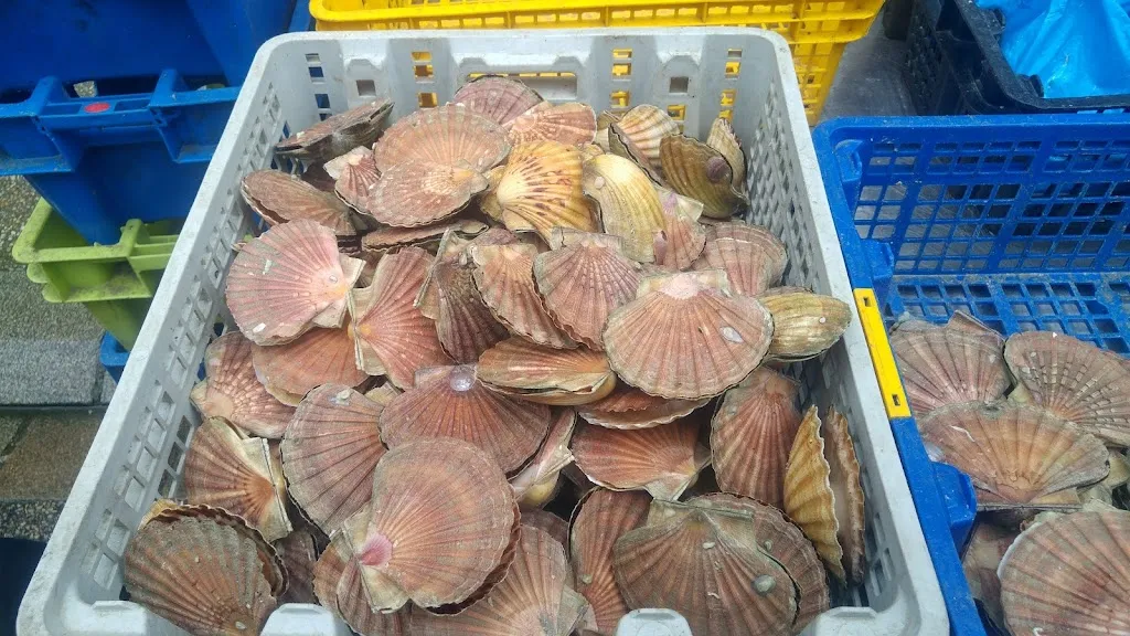 Menu_Kreiz-ker_Saint-Renan_image_4