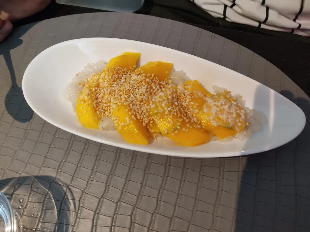 Martine Ollier_Koh Samui_Saint-Renan_review