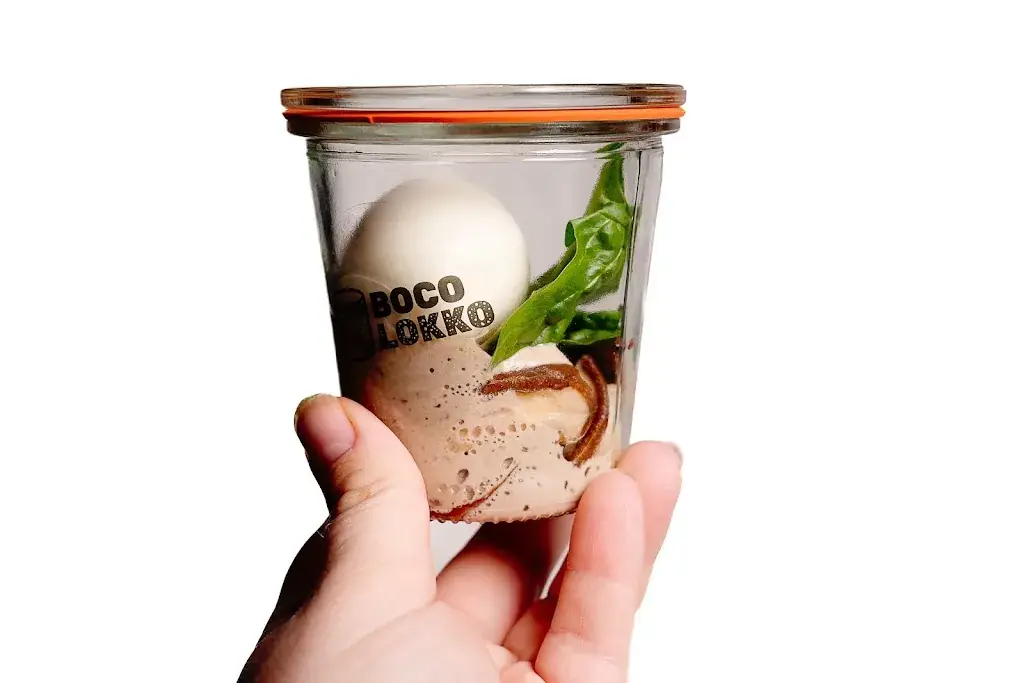 Boco Lokko St Quay Perros restaurant in Saint-Quay-Perros