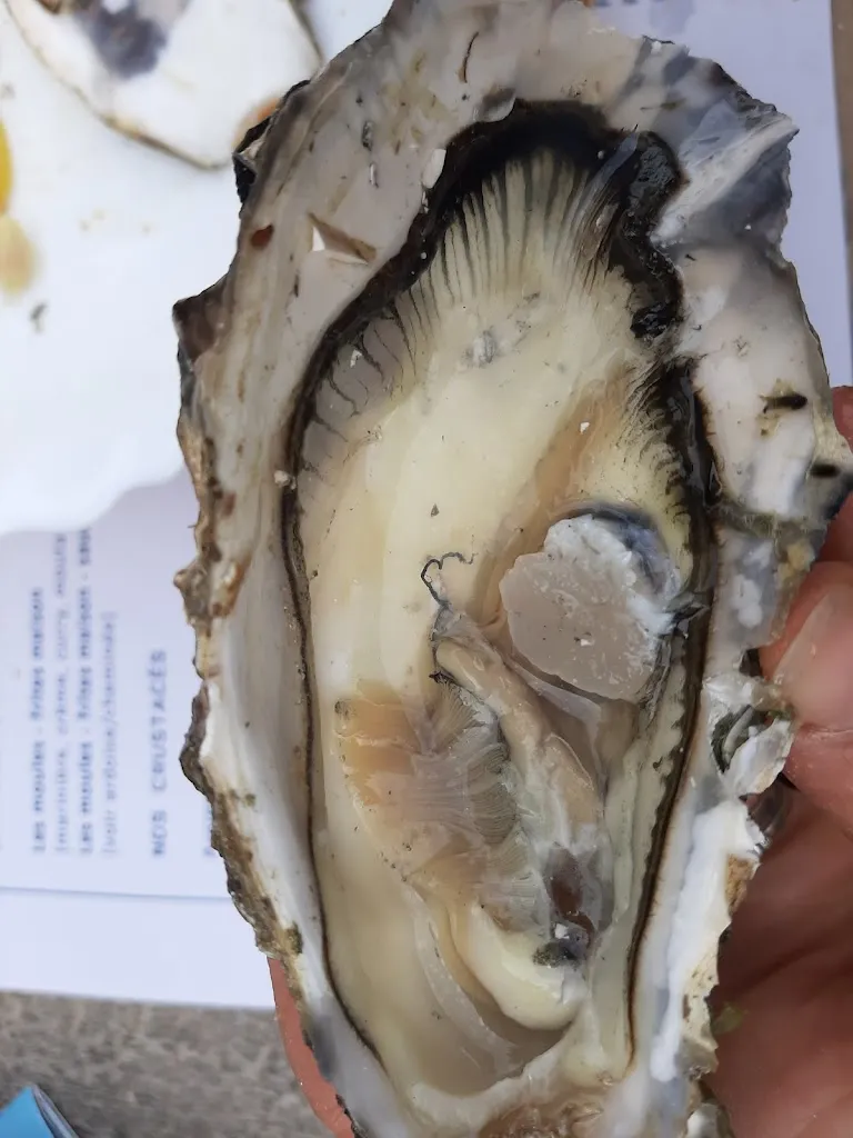 Menu_MAISON QUINTIN - La Dégustation_Saint-Philibert_image_9