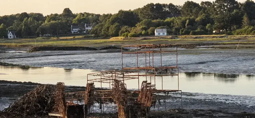 Philippe Pourbaix_Huîtres Eric CAILLOCE_Saint-Philibert_review
