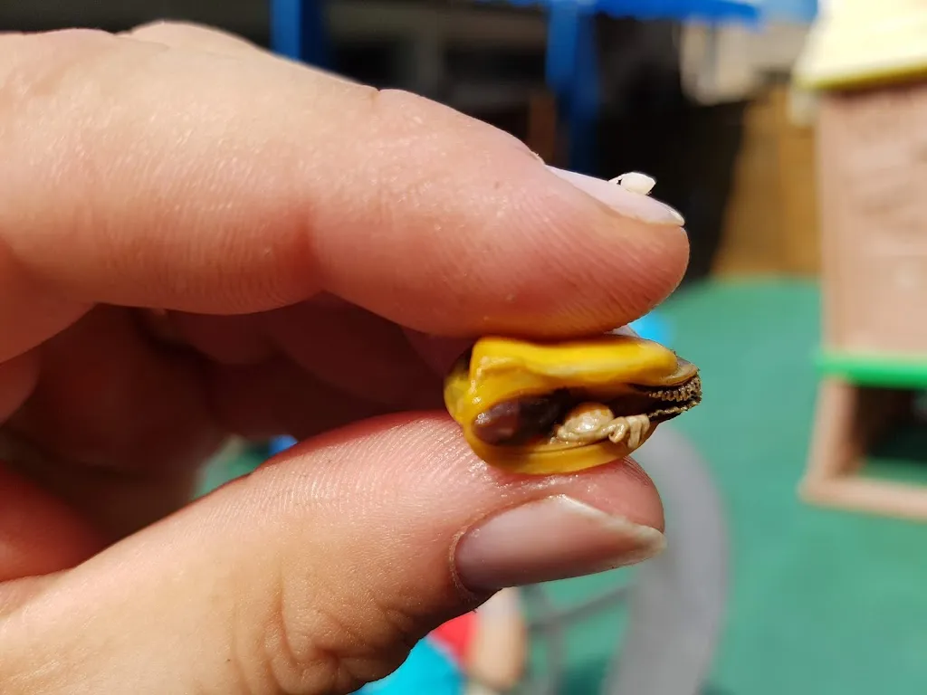 Menu_Creperie de la Pointe_Saint-Philibert_image_4