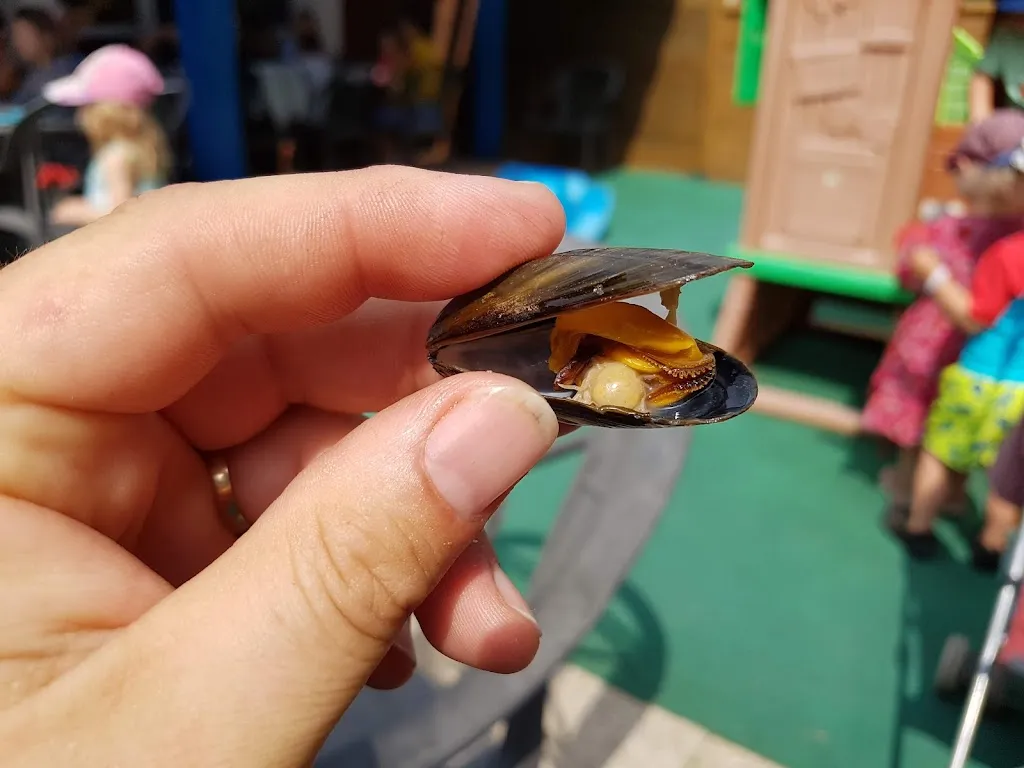 Menu_Creperie de la Pointe_Saint-Philibert_image_5