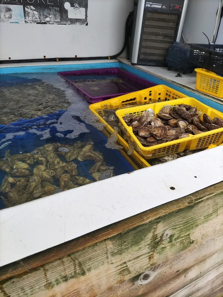 Menu_La Dégust' Vente et dégustation_Saint-Méloir-des-Ondes_image_5