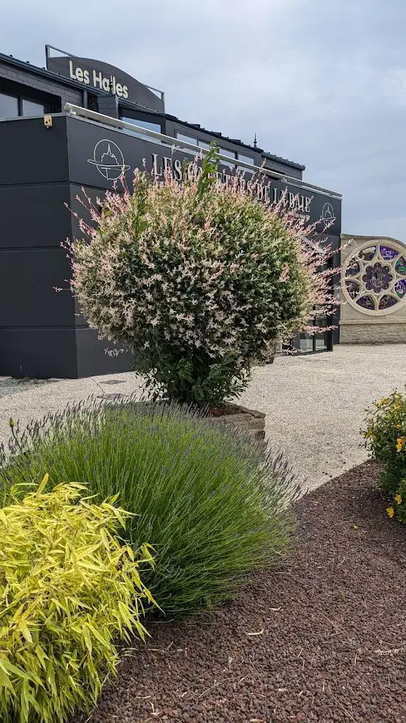 The cat_Les Galettes de la Baie_Saint-Méloir-des-Ondes_review