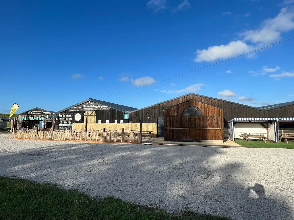 Oysters Cahue Father and Son_Saint-Méloir-des-Ondes_slider_image_3