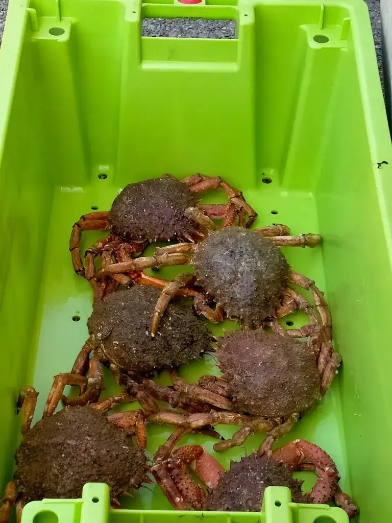 Café du Moulin_Saint-Méloir-des-Ondes_slider_image_1