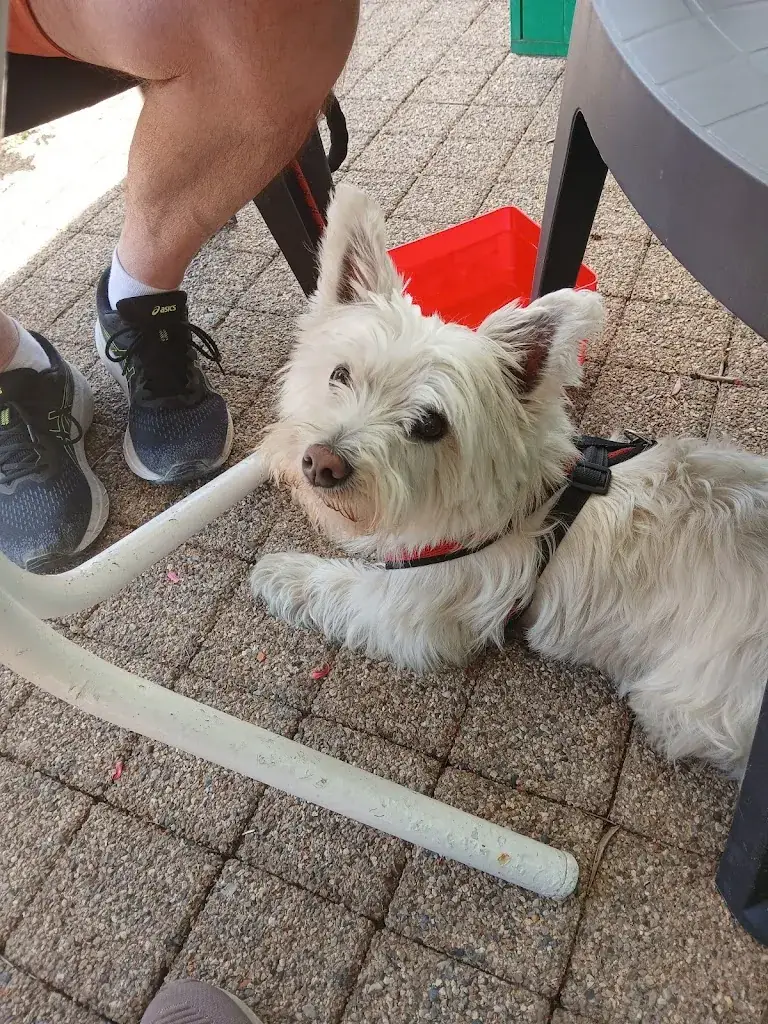 Valerie Meffray_l'Hôtel des voyageurs_Sizun_review