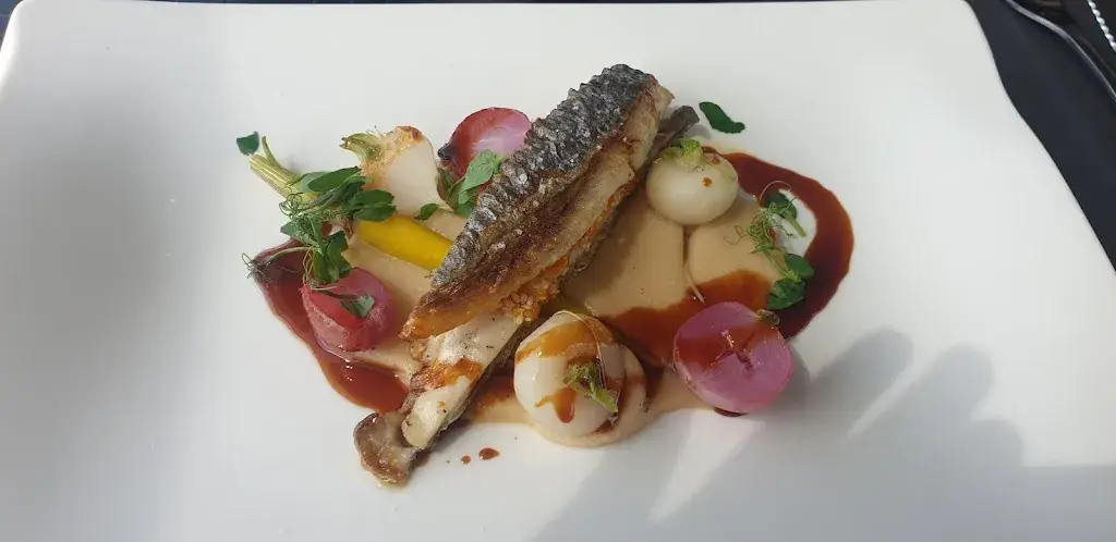 Salsa_Restaurant Latitude 47 - Damgan - Morbihan - Bretagne_Damgan_recensione