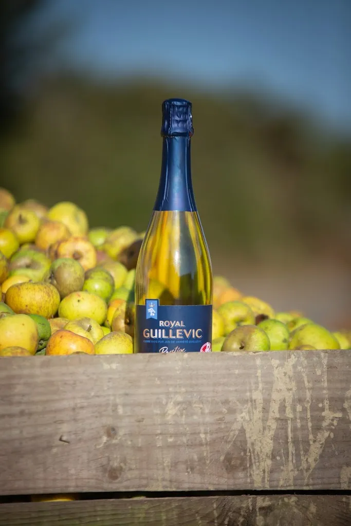 Cidrerie De Rhuys NICOL restaurant in Surzur