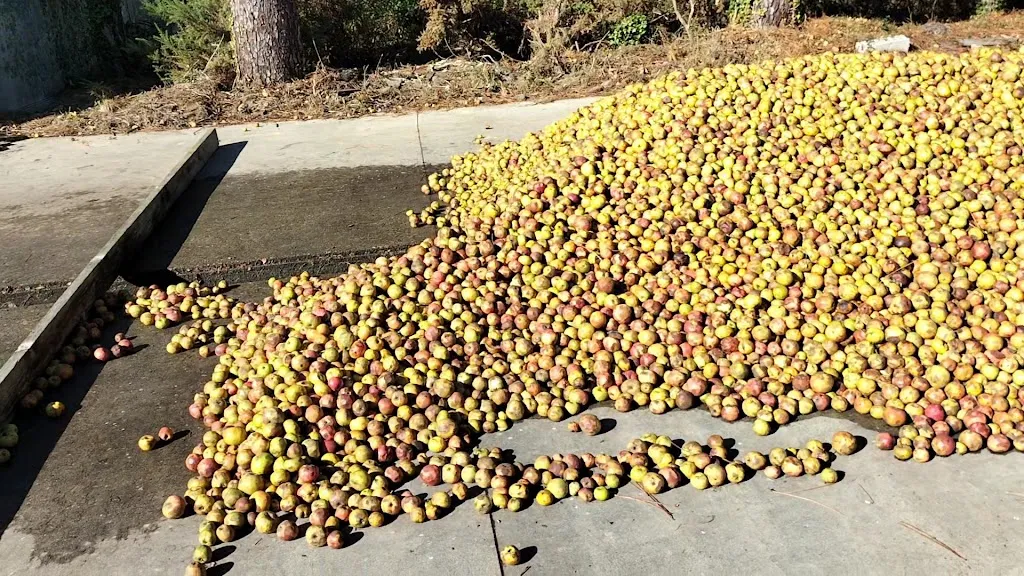 Cidrerie De Rhuys NICOL_Surzur_slider_image_2