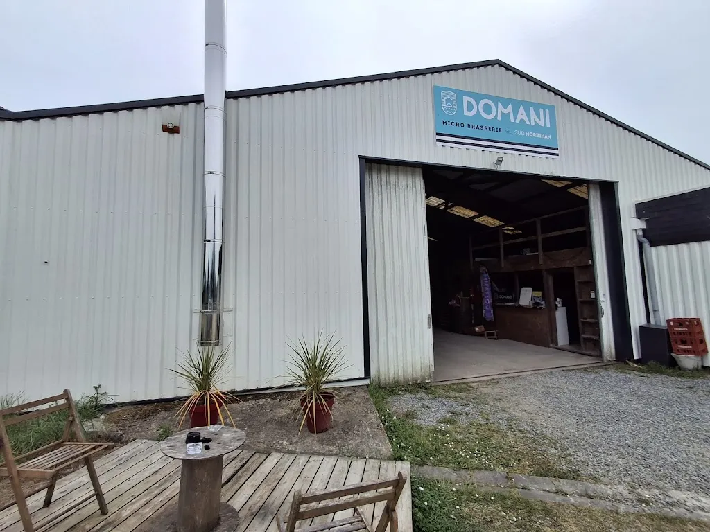 Fred Lacroix_Brasserie Domani_Theix-Noyalo_review