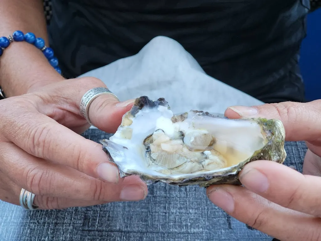 Menu_Le Triskell_Quiberon_immagine_7