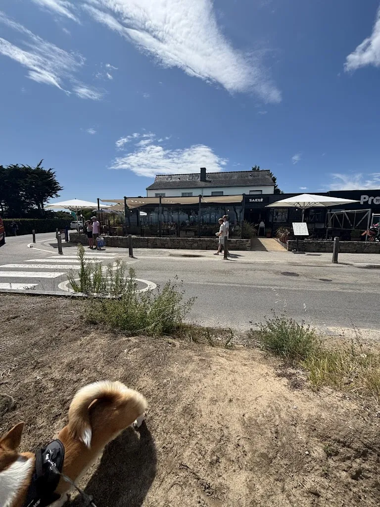 Chris_Sablé_Quiberon_review