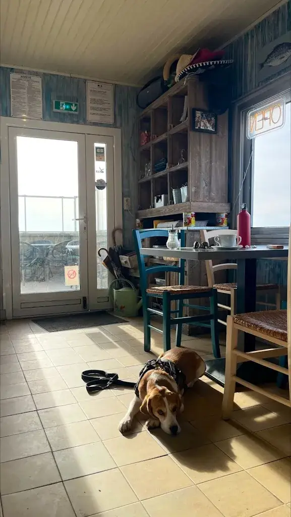 Jose Angel Santoro Estévez_Les Mouettes_Quiberon_review