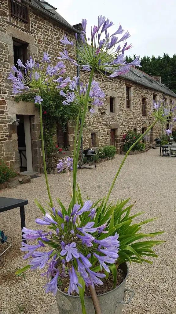 Christy Duijvelaar_Les Rossignols_Taden_review