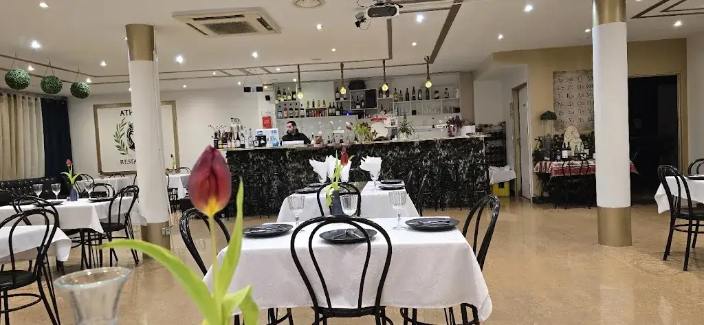 Marina van den Bogaard_Athéna Restaurant - Spécialités Grecques - Libanaises - Arméniennes_Bourg-lès-Valence_avis