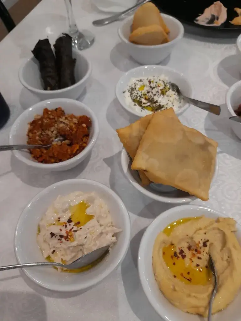 rené saudrais_Athéna Restaurant - Spécialités Grecques - Libanaises - Arméniennes_Bourg-lès-Valence_avis