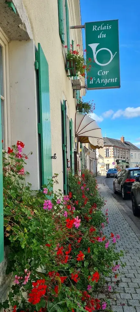 Ivana_Logis Hôtel Restaurant Le Relais du Cor d'Argent_Argent-sur-Sauldre_review