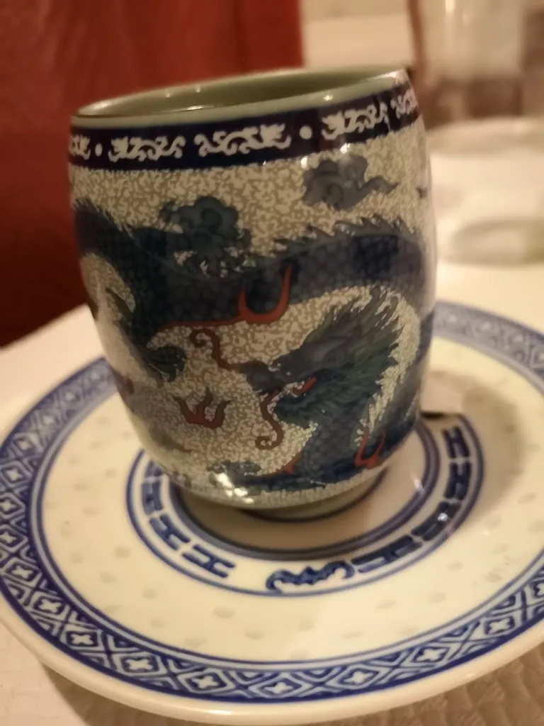 Menü_Le Mékong_Ploërmel_Bild_9