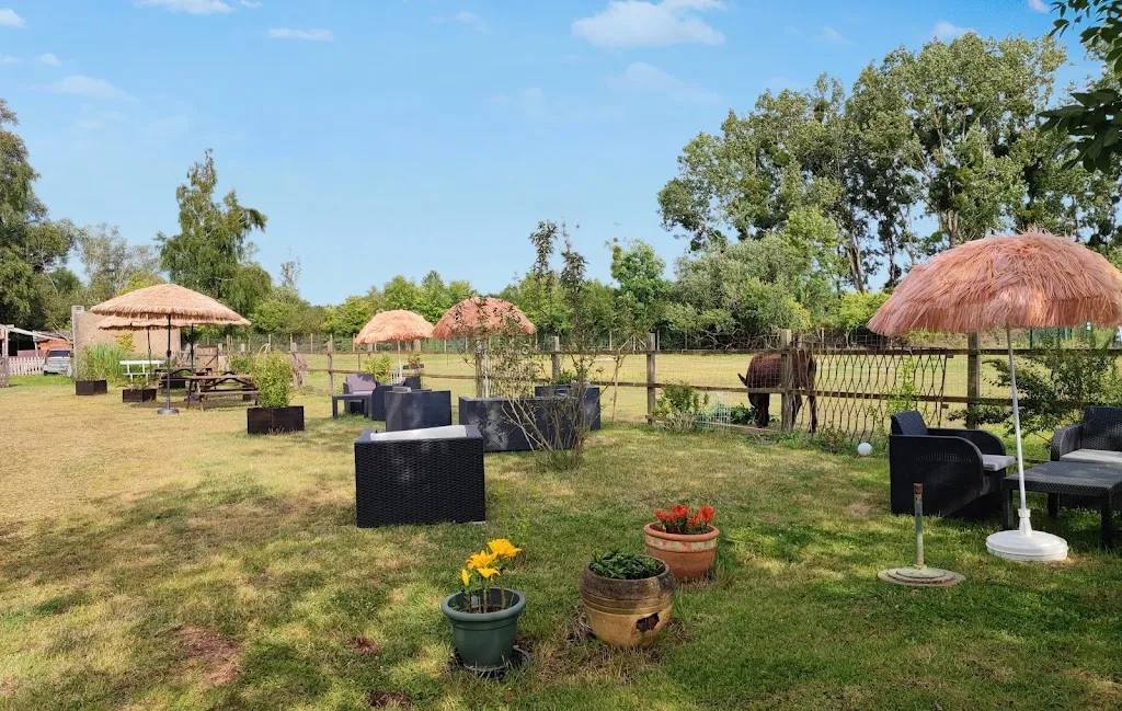 Rest'O Fox_Brou_slider_image_3