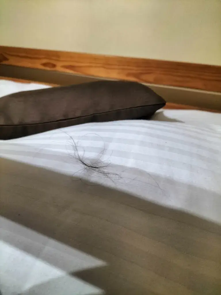 Delphine Canevarolo_Logis Hôtel Auberge la Fontaine_Aubigny-sur-Nère_review