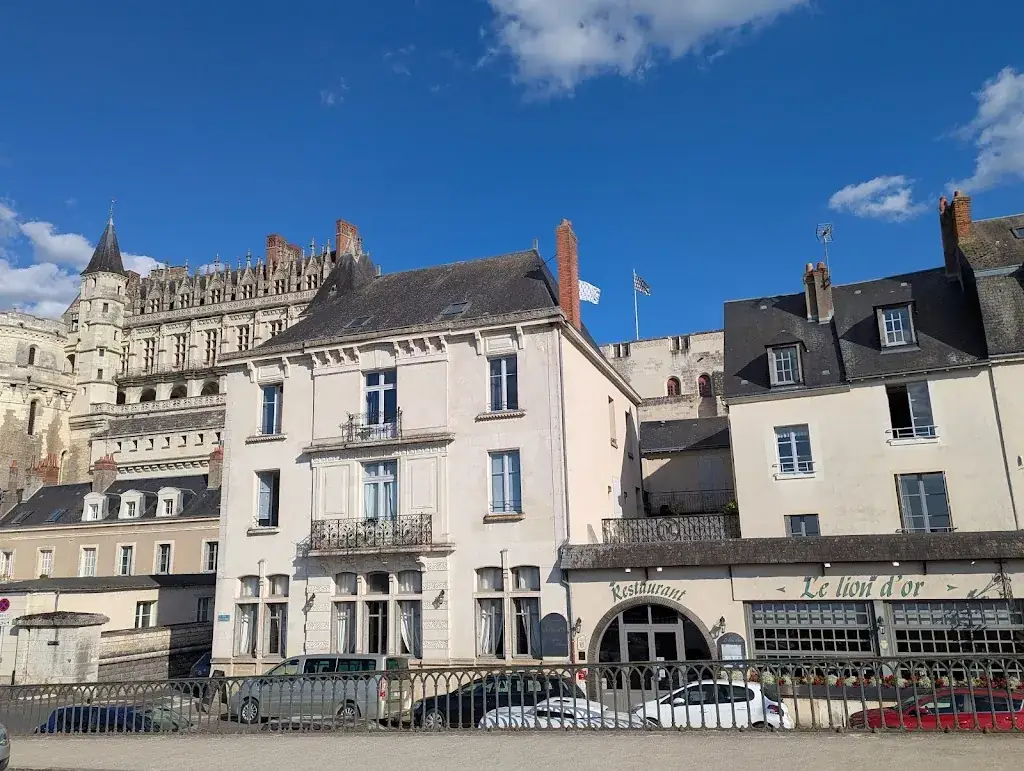 Stephen Hailey_Le Lion D'Or_Amboise_review