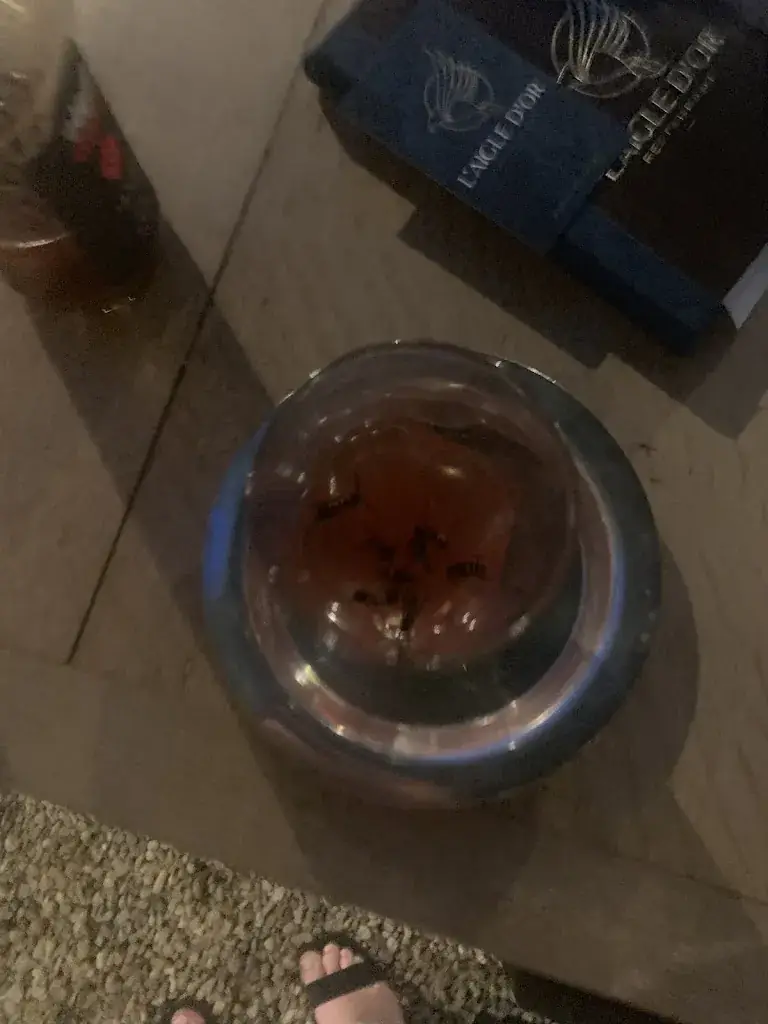 emily richard_L'Aigle d'Or · Restaurant Gastronomique · Azay-le-Rideau_Azay-le-Rideau_review