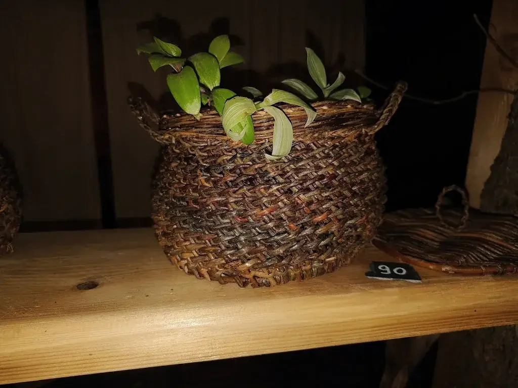 Karlijn Limpens_La Burette Guinguette Ballan-Miré_Ballan-Miré_review