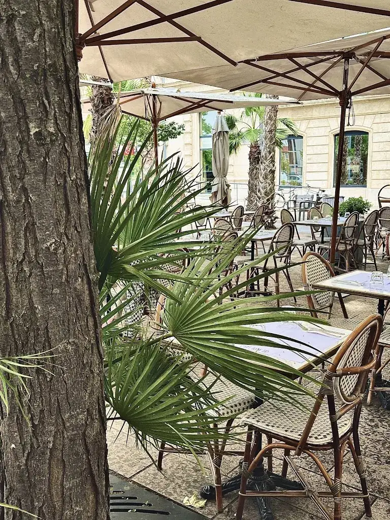 Le Café Victor Hugo - VH restaurant à Valence