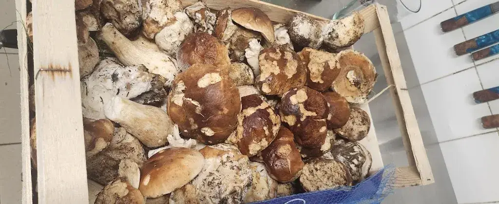 Menu_La pause gourmande musicale_Château-Renault_image_4