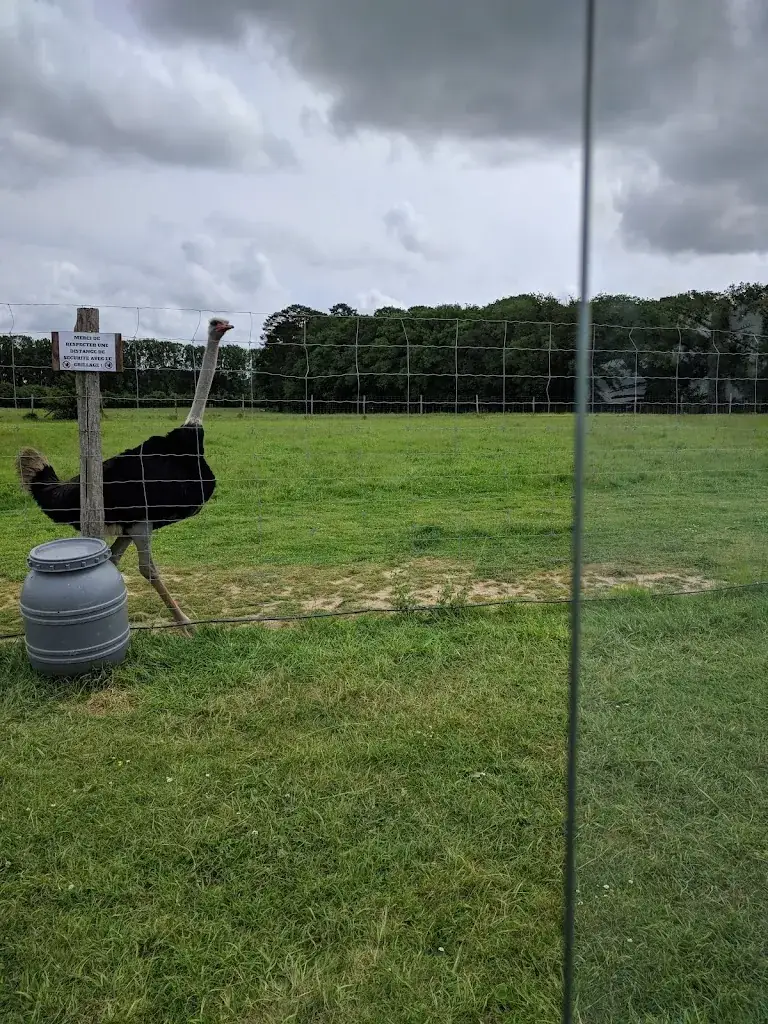 Gauthier “got4close” BEAURIN_Safari Train_Autrèche_review