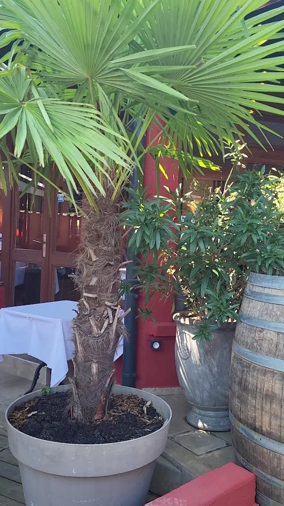 O GONES DE SAONE_Fontaines-sur-Saône_slider_image_2