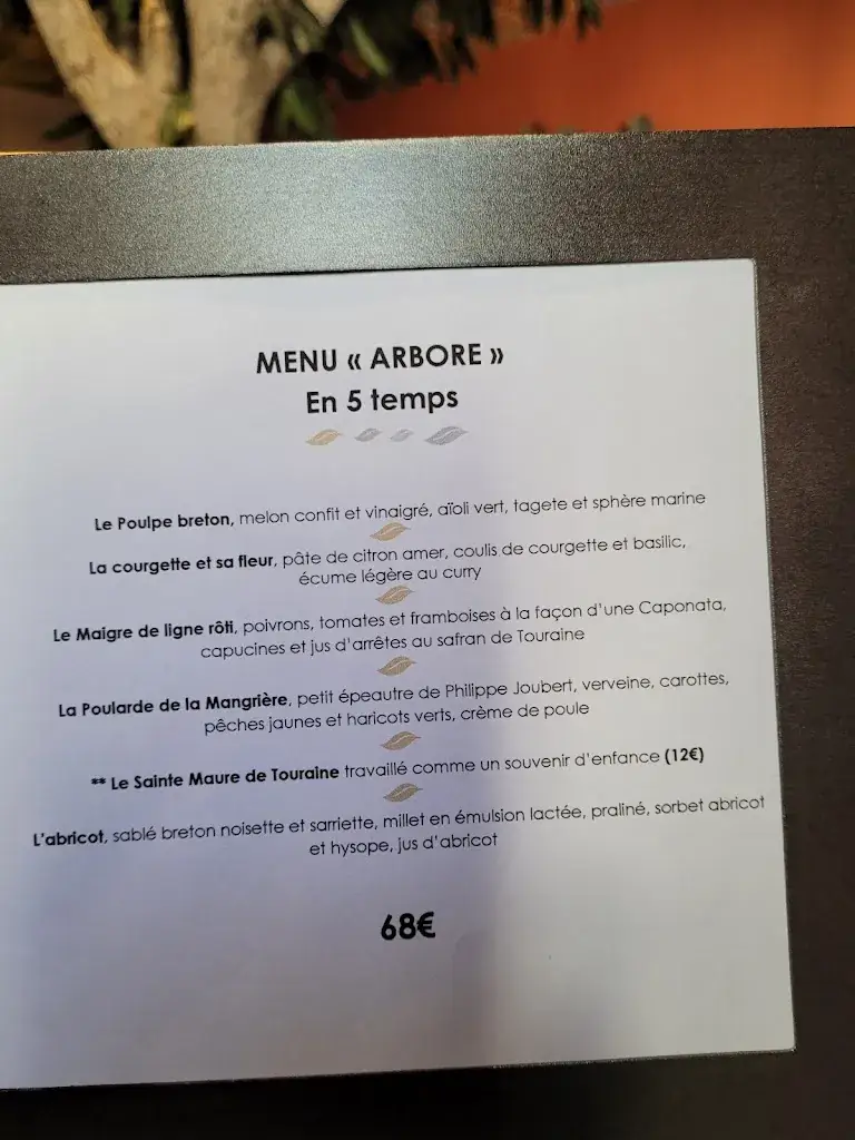 Menu_Arbore & Sens_Loches_image_4