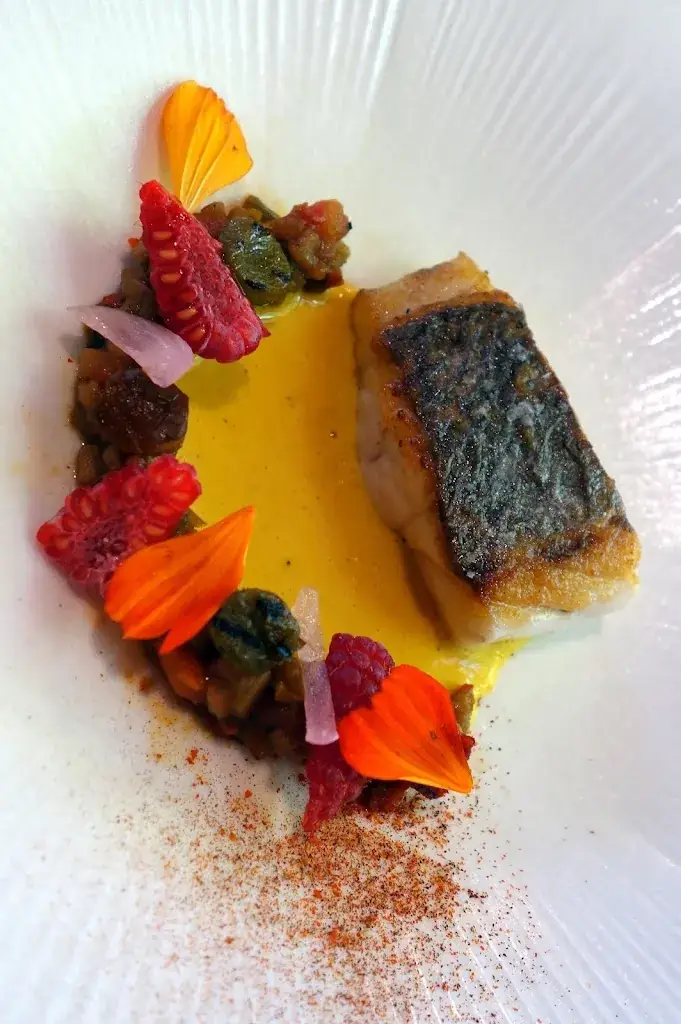 Menu_Arbore & Sens_Loches_image_5