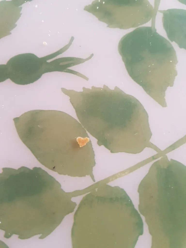 Menu_Au Pont de Boigny_Chécy_image_9