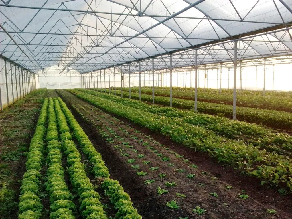 Jardin maraicher du Beaunois - les Jardins de la voie romaine_Beaune-la-Rolande_slider_image_1