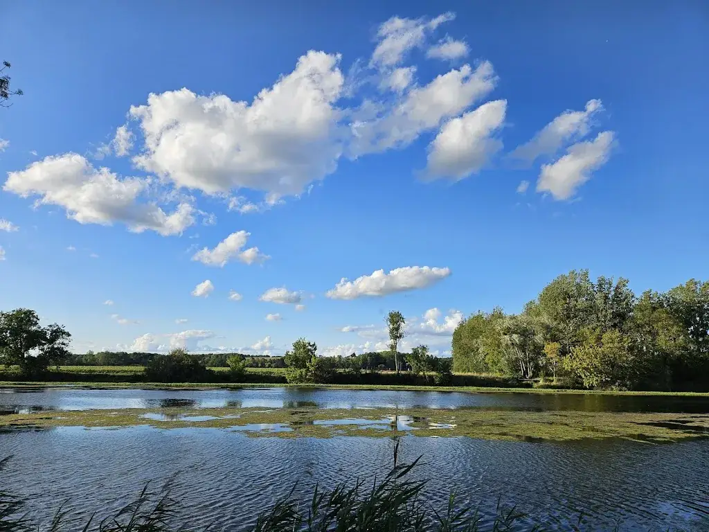 Sarl Vietnamfood_Bléré_slider_image_3