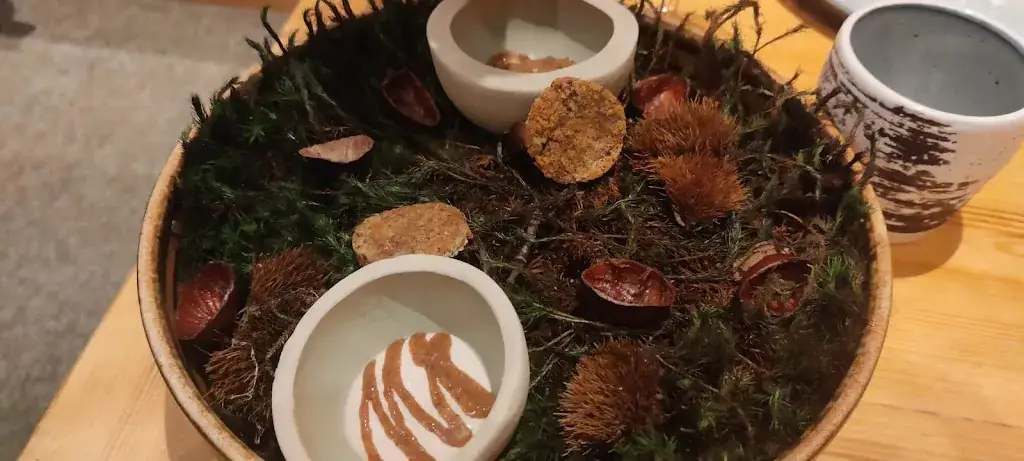 Mike van Pamelen_ASSA_Blois_review