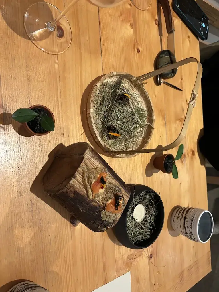 roger vivas_ASSA_Blois_review