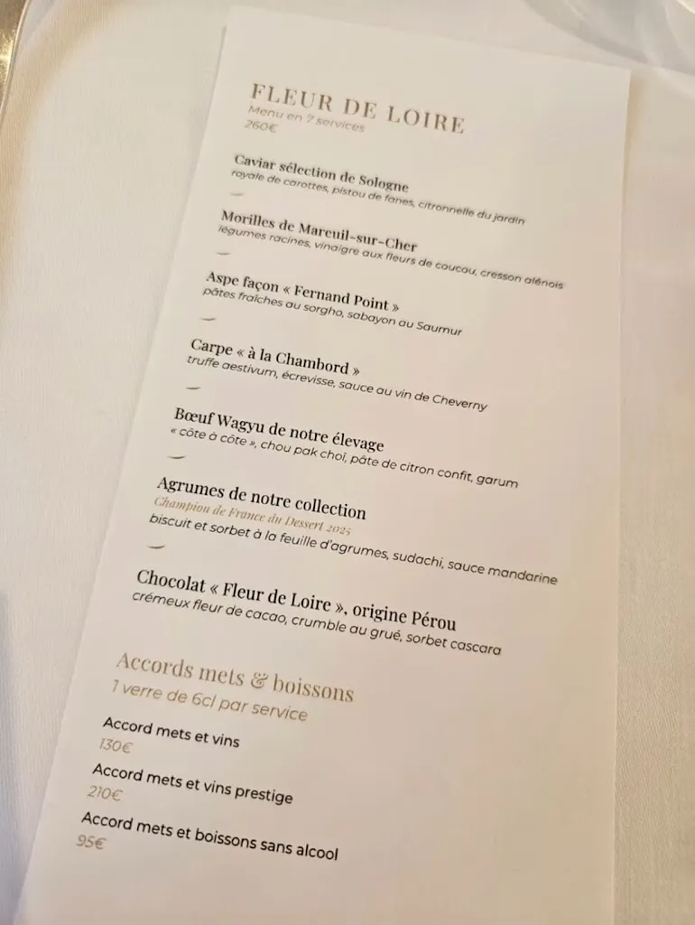 Bubbles Snowflakes_Restaurant Christophe Hay_Blois_reseña