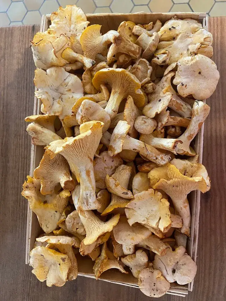 Menu_Hôtel Restaurant des Gorges au Viaduc_Rivière-sur-Tarn_image_8