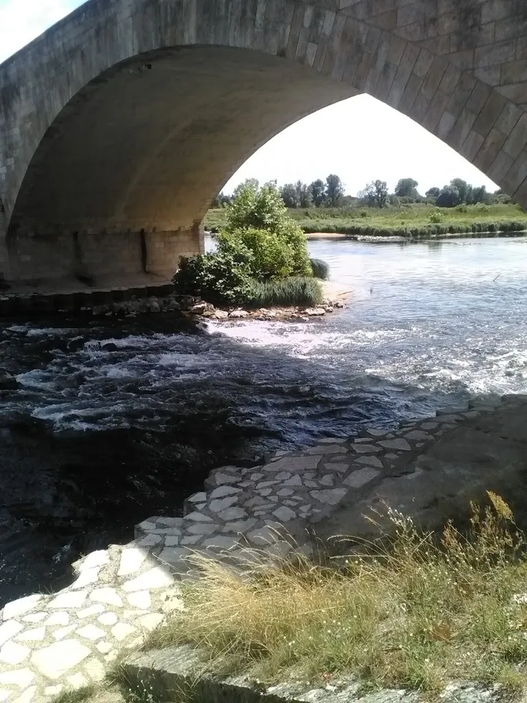 Coin Picnic Bord De Loire_Beaugency_slider_image_3
