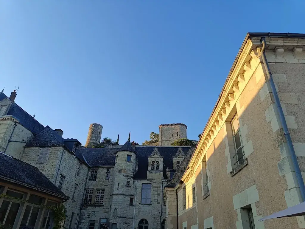 Mélanie NOEL_GEORGIA_Chinon_review