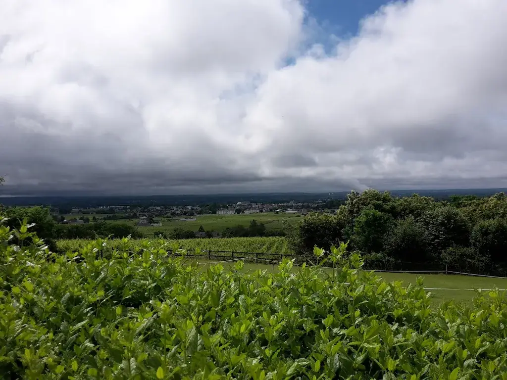 Remy Cherel_Le Moulin Bleu_Bourgueil_Bewertung