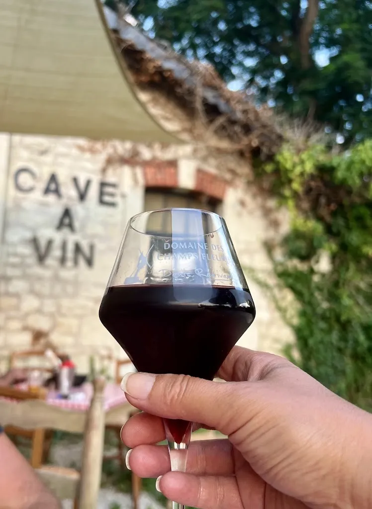 karima arroni_L'Usine à Gaz - Restaurant_Bourgueil_review