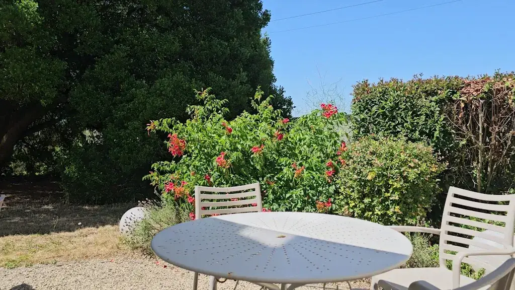 Kitchen Insider_VINCENT CUISINIER DE CAMPAGNE_Coteaux-sur-Loire_review