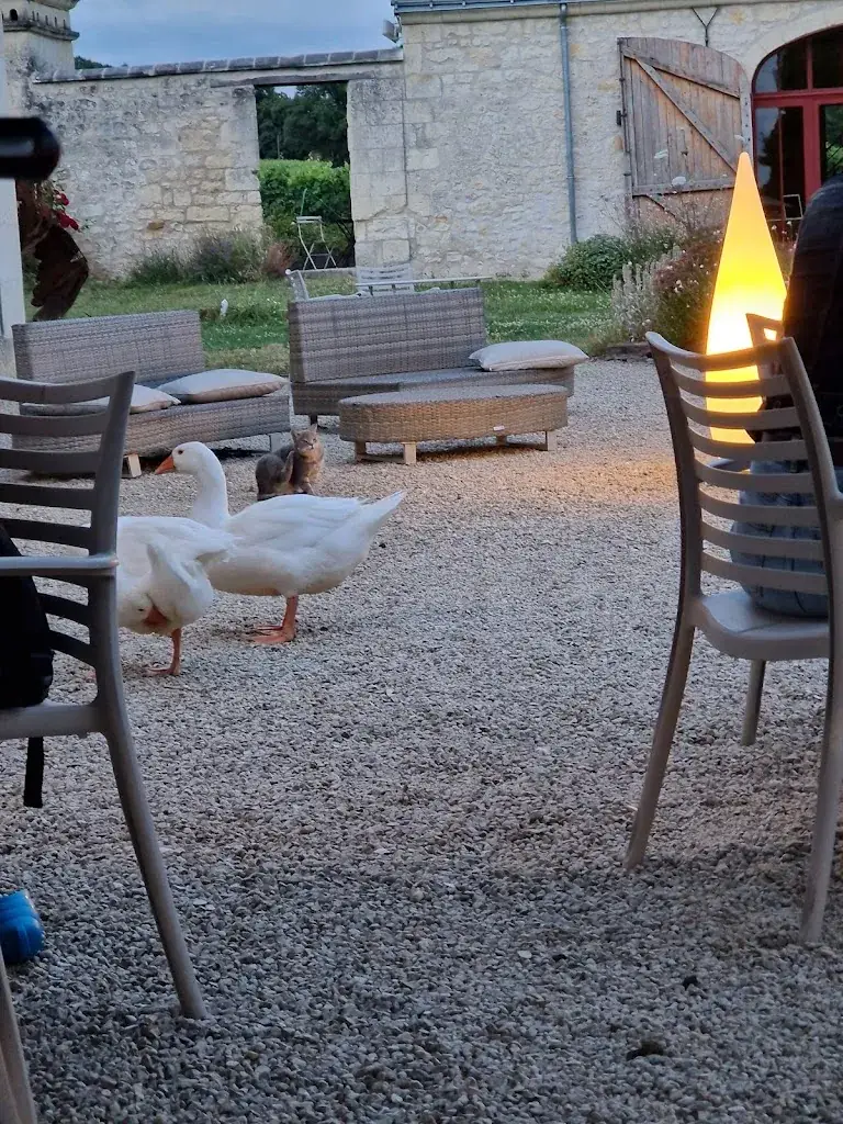 Adriana García_VINCENT CUISINIER DE CAMPAGNE_Coteaux-sur-Loire_review