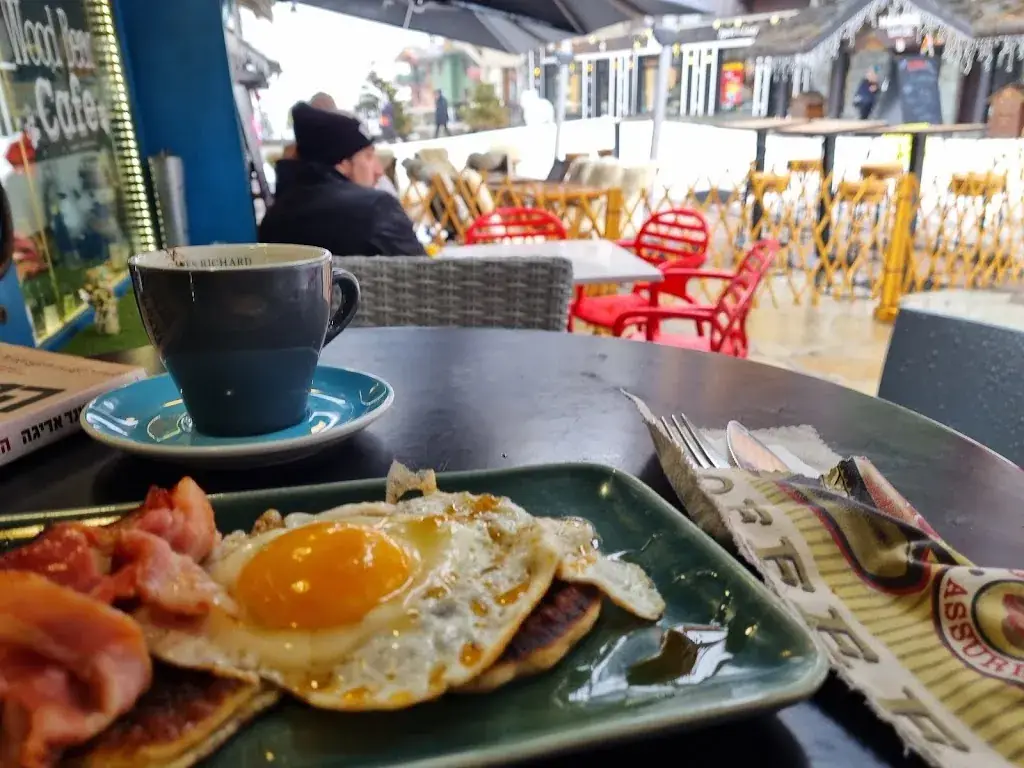 Aviv Steiner_Wood Bear Café_Bourg-Saint-Maurice_recensione