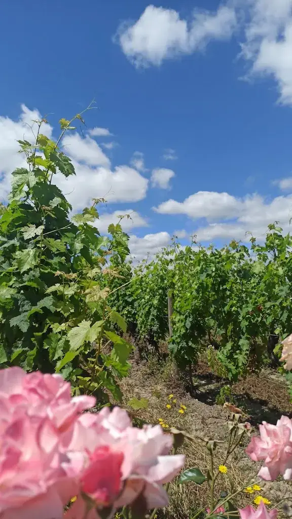 Domaine et Brasserie de la Rodaie_Saint-Nicolas-de-Bourgueil_slider_image_2